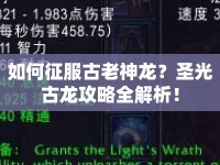如何征服古老神龍？圣光古龍攻略全解析！