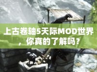 上古卷軸5天際MOD世界，你真的了解嗎？