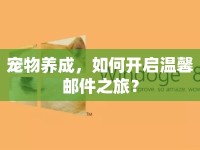 寵物養(yǎng)成，如何開啟溫馨郵件之旅？