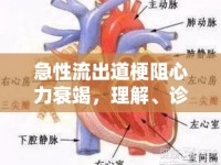 急性流出道梗阻心力衰竭，理解、診斷與應(yīng)對(duì)策略