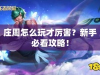 莊周怎么玩才厲害？新手必看攻略！