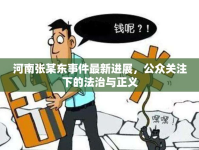 河南張某東事件最新進展，公眾關注下的法治與正義