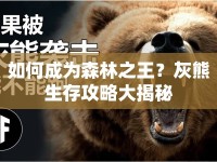如何成為森林之王？灰熊生存攻略大揭秘