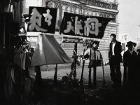 秦時明月手游金書屬性如何搭配，才能快速登上武林之巔？