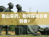衡山采藥，如何探尋古老藥香？