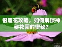 銀蓮花攻略，如何解鎖神秘花園的奧秘？