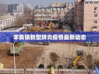 豐良鎮(zhèn)新型肺炎疫情最新動態(tài)