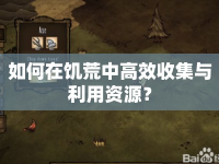 如何在饑荒中高效收集與利用資源？