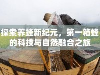 探索養(yǎng)蜂新紀(jì)元，第一箱蜂的科技與自然融合之旅