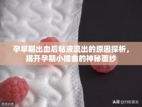 孕早期出血后粘液流出的原因探析，揭開孕期小插曲的神秘面紗