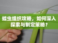 蝗蟲組織攻略，如何深入探索與制定策略？