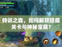 特訓(xùn)之森，如何解鎖隱藏關(guān)卡與神秘寶藏？