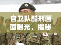 自衛(wèi)隊(duì)酷刑畫(huà)面曝光，揭秘背后的真相與影響