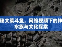 揭秘文萊斗魚(yú)，網(wǎng)絡(luò)視頻下的神秘水族與文化探索