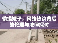 偷摸嫂子，網(wǎng)絡(luò)熱議背后的倫理與法律探討