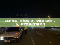 2021蒲城，零容忍行動，全面曝光酒駕行為，共筑安全出行新防線