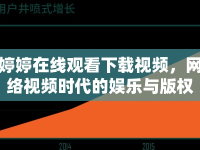婷婷在線觀看下載視頻，網(wǎng)絡(luò)視頻時代的娛樂與版權(quán)挑戰(zhàn)