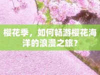 櫻花季，如何暢游櫻花海洋的浪漫之旅？