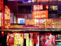 RO手游，如何解鎖抓寵物道具，開啟奇妙旅程？
