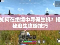 如何在絕境中尋得生機(jī)？揭秘逃生攻略技巧