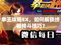 拳王攻略EX，如何解鎖終極格斗技巧？