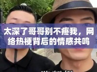 太深了哥哥別不疼我，網(wǎng)絡(luò)熱梗背后的情感共鳴
