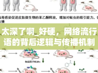 太深了啊_好硬，網(wǎng)絡(luò)流行語的背后邏輯與傳播機制