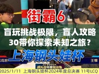 盲玩挑戰(zhàn)極限，盲人攻略30帶你探索未知之旅？
