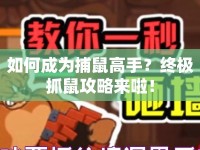 如何成為捕鼠高手？終極抓鼠攻略來啦！