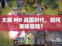 太閣 MD 戰(zhàn)國(guó)時(shí)代，如何策略冒險(xiǎn)？