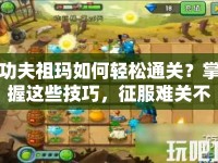 功夫祖瑪如何輕松通關？掌握這些技巧，征服難關不再是夢！