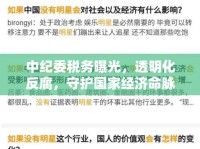 中紀委稅務曝光，透明化反腐，守護國家經(jīng)濟命脈