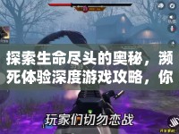 探索生命盡頭的奧秘，瀕死體驗(yàn)深度游戲攻略，你準(zhǔn)備好了嗎？