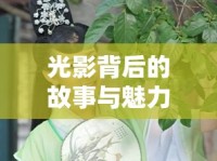 光影背后的故事與魅力，重慶新晉女主播的獨特風采
