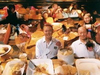 為何仙境手游露露的平衡問(wèn)題讓玩家頻頻吐槽？