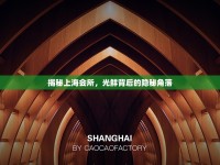 揭秘上海會(huì)所，光鮮背后的隱秘角落