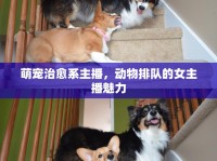萌寵治愈系主播，動(dòng)物排隊(duì)的女主播魅力