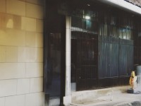 如何打造夢(mèng)想世界手游中的專屬萌寵大軍？