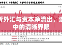解析外匯與資本凈流出，迷霧中的清晰界限