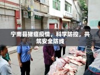 寧南縣豬瘟疫情，科學(xué)防控，共筑安全防線