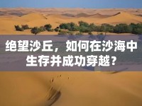 絕望沙丘，如何在沙海中生存并成功穿越？