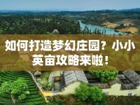 如何打造夢幻莊園？小小英畝攻略來啦！
