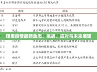 印度疫情最新動態(tài)，挑戰(zhàn)、應對與未來展望