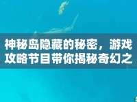 神秘島隱藏的秘密，游戲攻略節(jié)目帶你揭秘奇幻之旅？