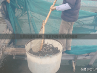 女性月經(jīng)期血塊，背后的真相與應(yīng)對策略