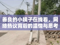 善良的小姨子在線看，網(wǎng)絡(luò)熱議背后的溫情與思考