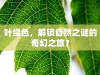 葉綠色，解鎖自然之謎的奇幻之旅？