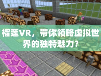 榴蓮VR，帶你領(lǐng)略虛擬世界的獨特魅力？