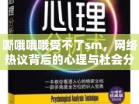 嘶哦哦哦受不了sm，網(wǎng)絡(luò)熱議背后的心理與社會(huì)分析