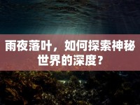 雨夜落葉，如何探索神秘世界的深度？